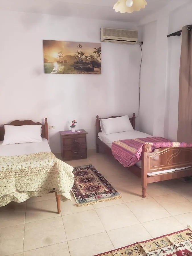Hostel Split Rock Tirana
